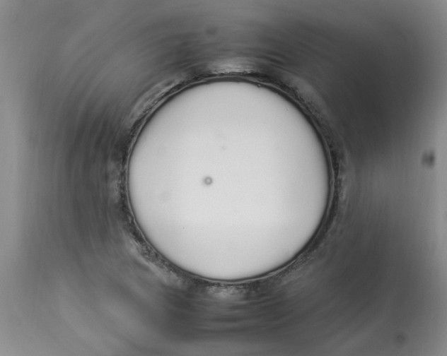 X0000112831217200909181642