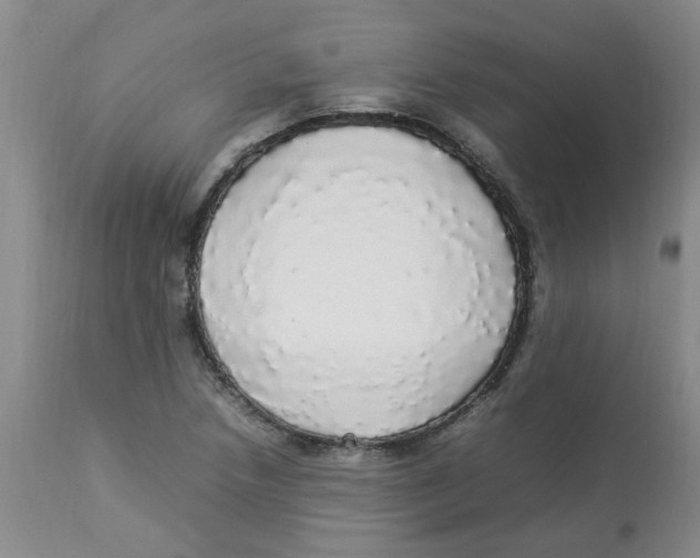 X0000112831218200909181642