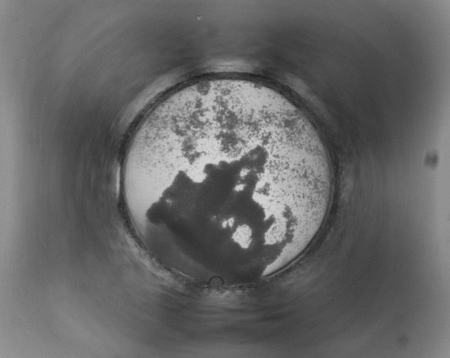 X0000112831221200909181642