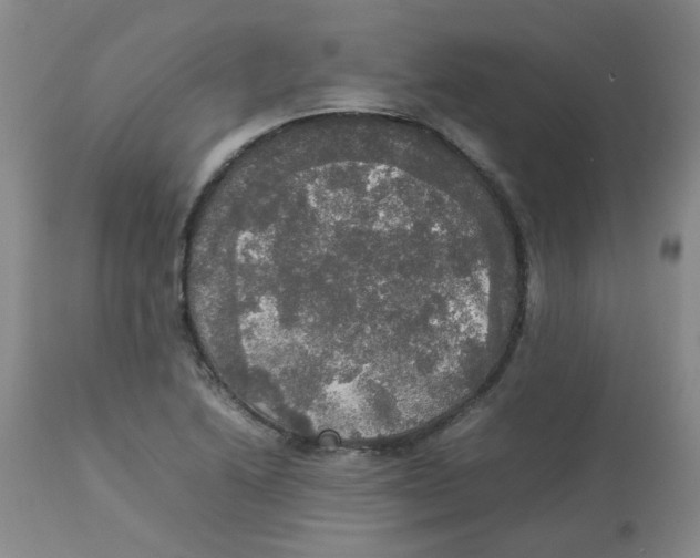 X0000112831222200909181642