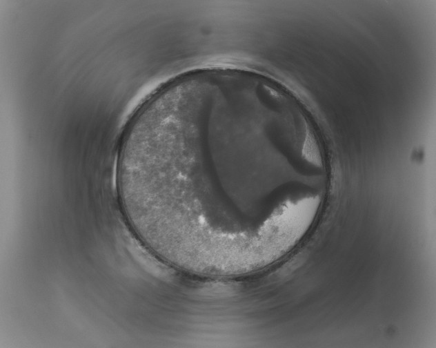 X0000112831224200909181642