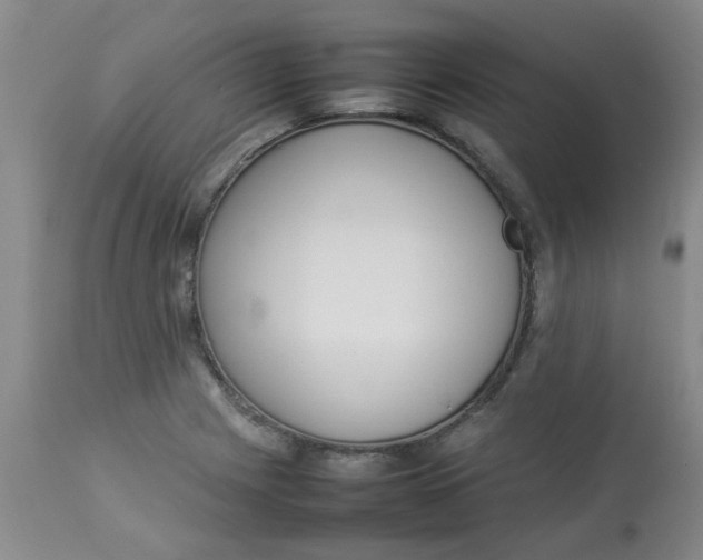 X0000112831225200909181642