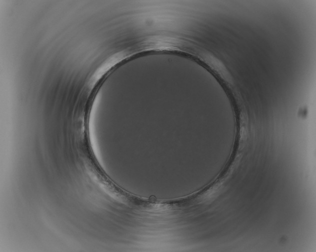 X0000112831226200909181642