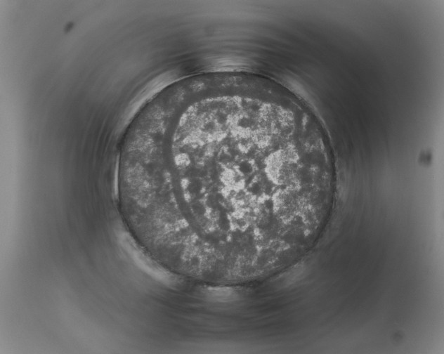 X0000112831227200909181642