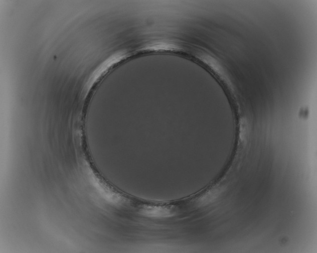 X0000112831229200909181642