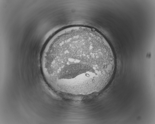 X0000112831230200909181642