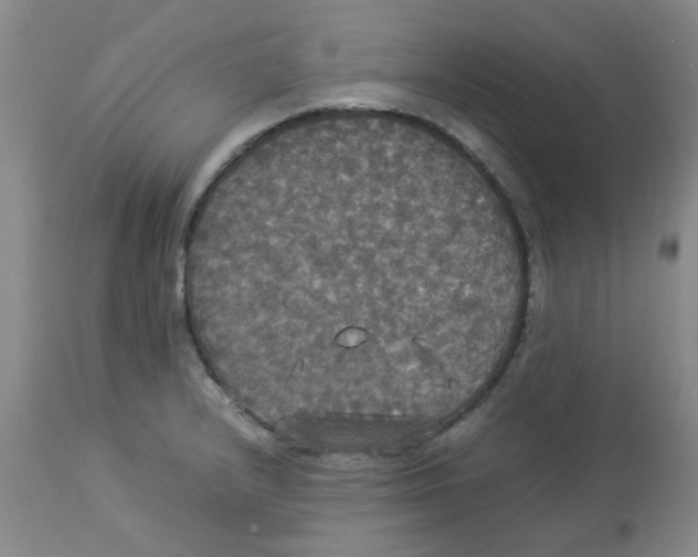 X0000112831232200909181642