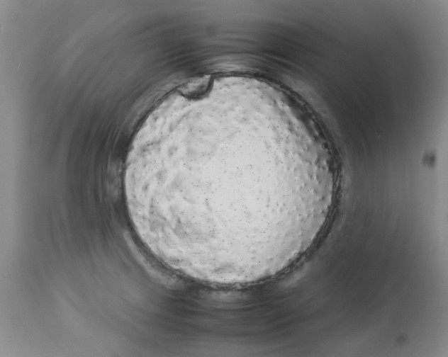 X0000112831233200909181642