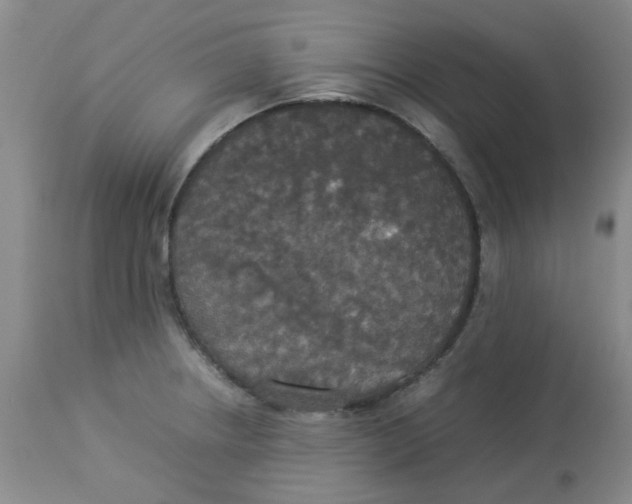 X0000112831234200909181642