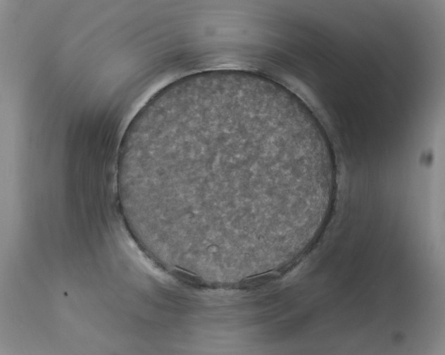 X0000112831236200909181642