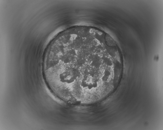 X0000112831237200909181642