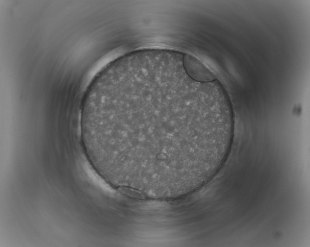 X0000112831238200909181642