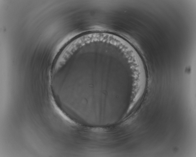 X0000112831239200909181642