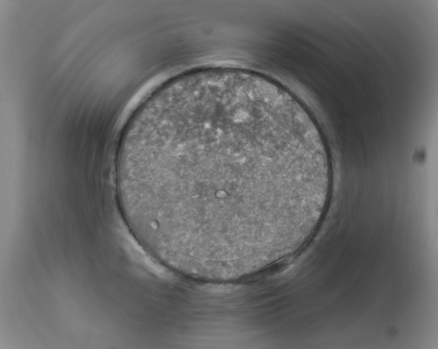 X0000112831240200909181642