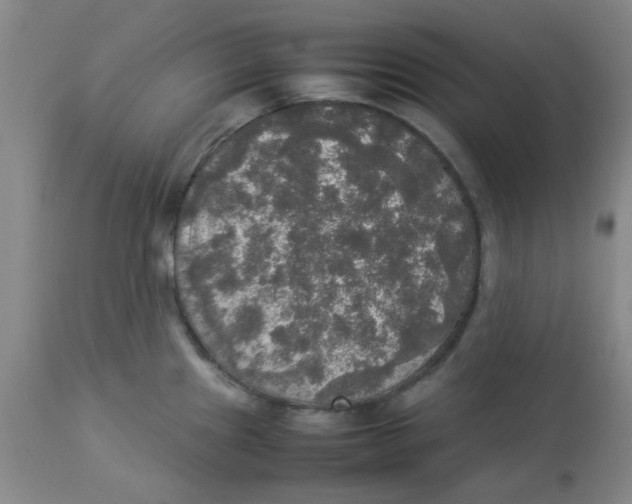 X0000112831241200909181642