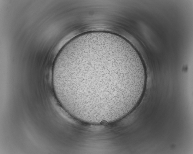 X0000112831242200909181642