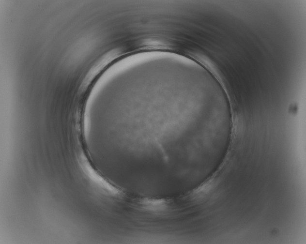 X0000112831243200909181642