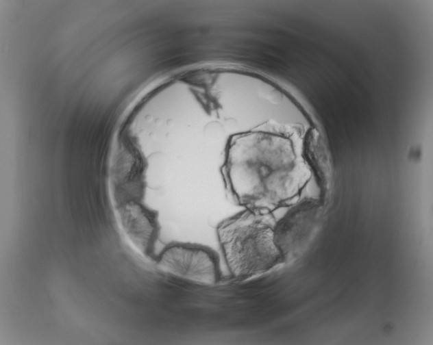 X0000112831245200909181642