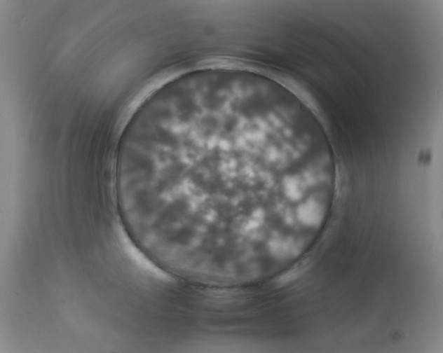 X0000112831247200909181642