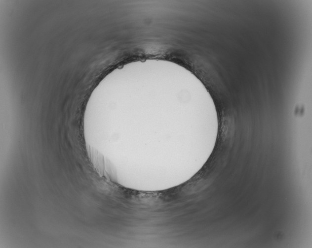 X0000112831249200909181642