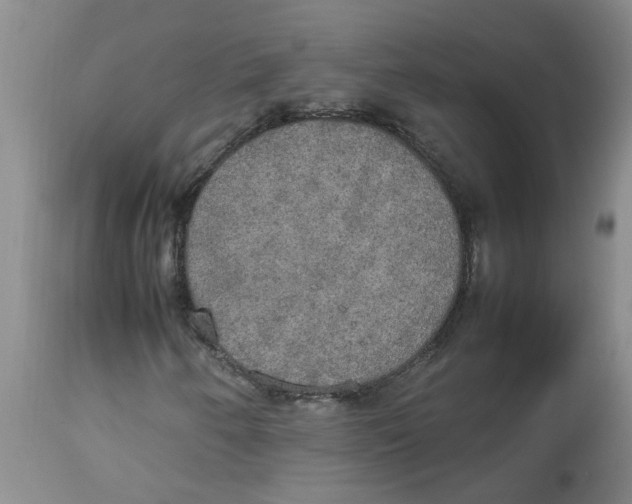 X0000112831250200909181642