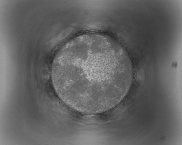 X0000112831253200909181642