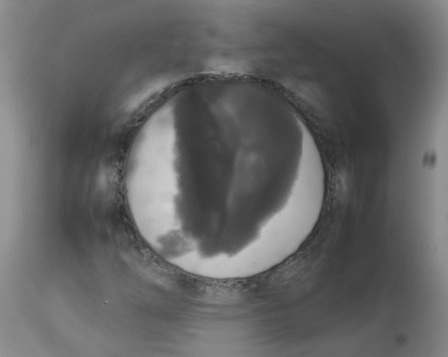 X0000112831254200909181642