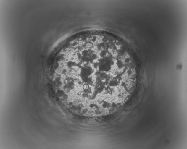 X0000112831255200909181642