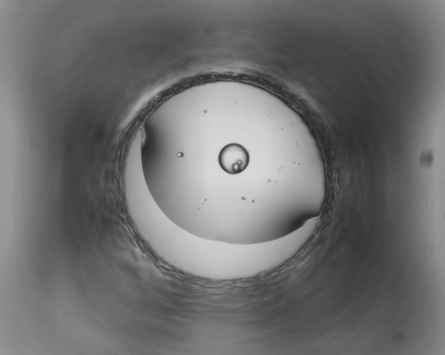 X0000112831256200909181641