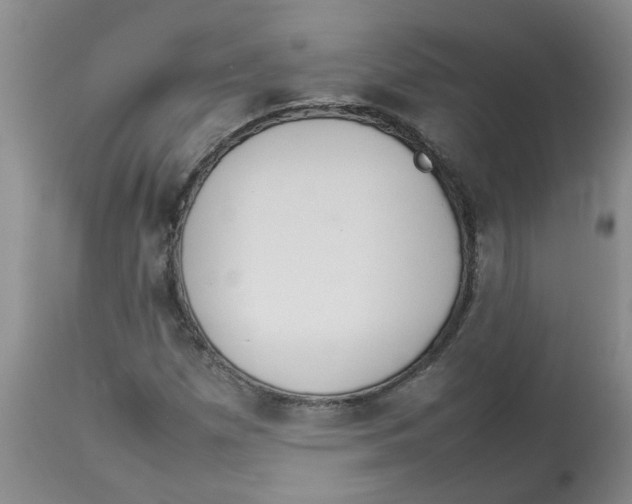 X0000112831257200909181641