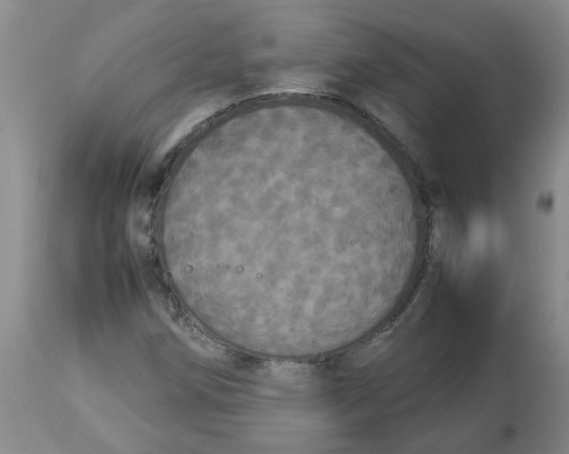 X0000112831258200909181641