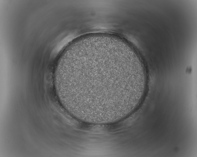 X0000112831259200909181641