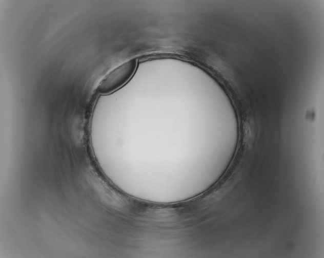 X0000112831260200909181641