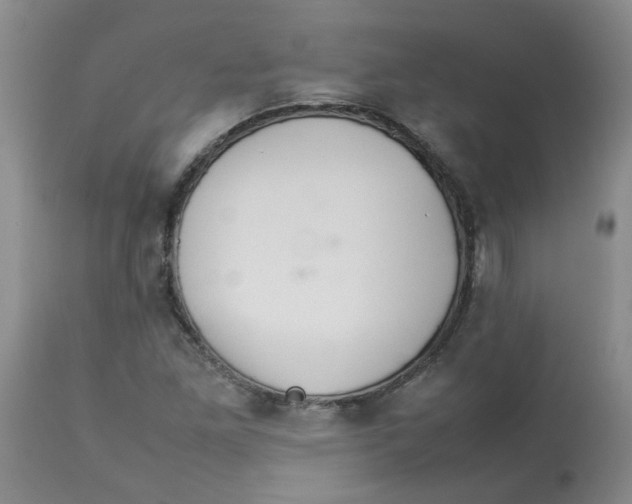 X0000112831261200909181641