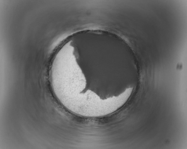 X0000112831263200909181641