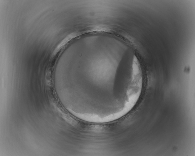 X0000112831266200909181641