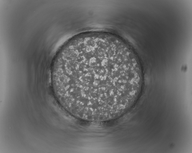 X0000112831267200909181641