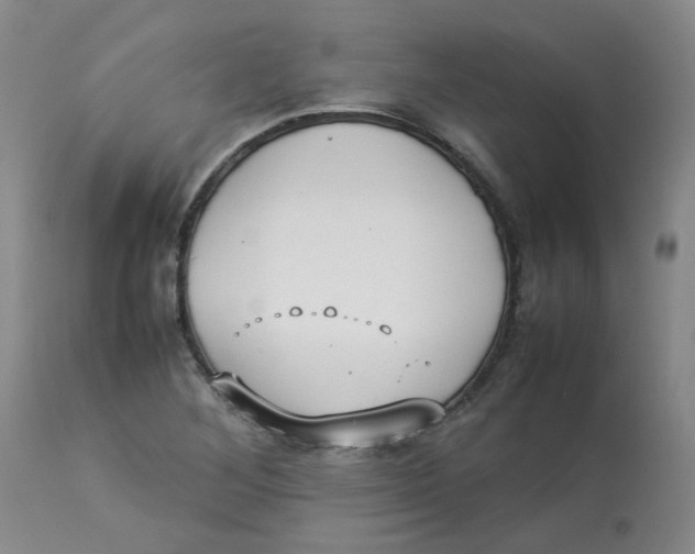 X0000112831268200909181641