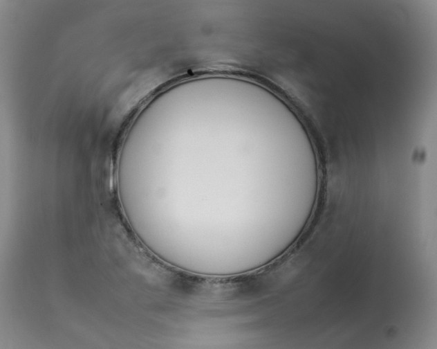 X0000112831269200909181641