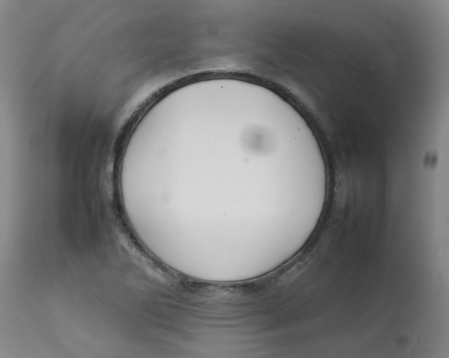 X0000112831270200909181641