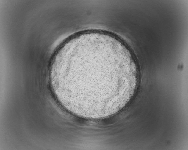 X0000112831271200909181641