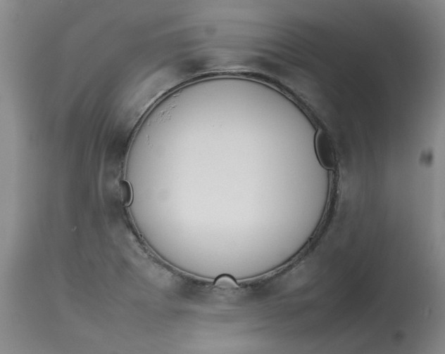 X0000112831273200909181641