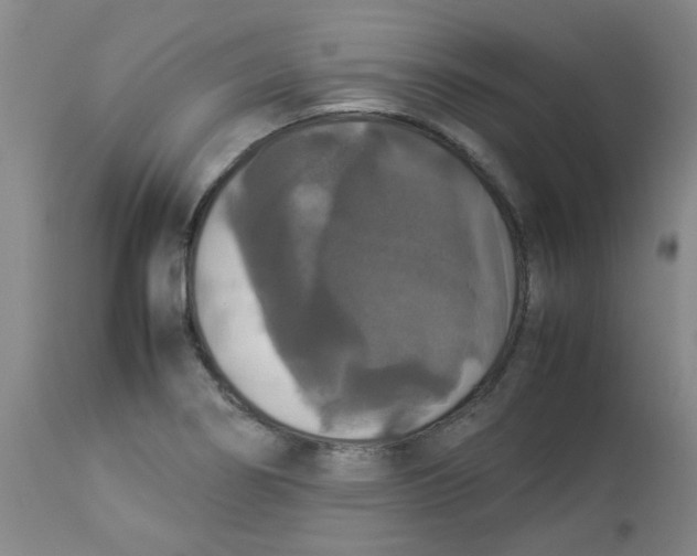 X0000112831274200909181641