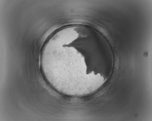 X0000112831275200909181641