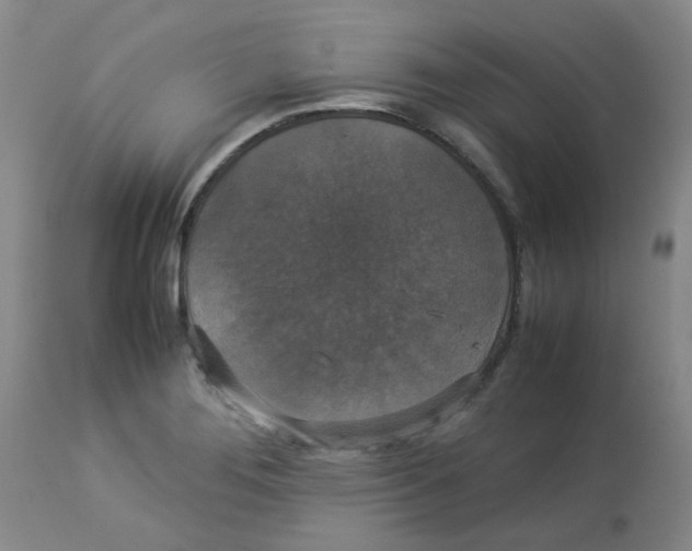 X0000112831276200909181641