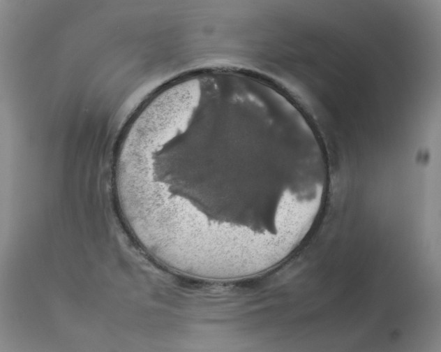 X0000112831279200909181641