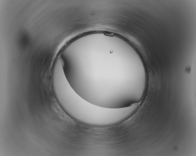 X0000112831280200909181641