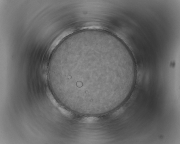 X0000112831282200909181641