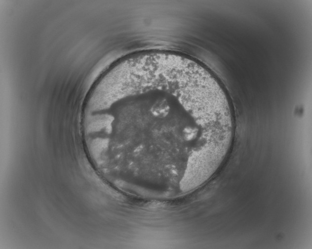 X0000112831283200909181641