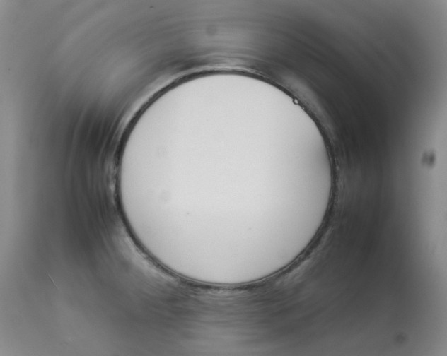 X0000112831284200909181641